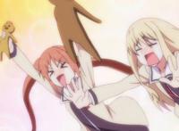 追番人数100万！我以为动漫女主是机器人已经极限了，没想到女主还能是只猴子？