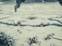 比“抗日神剧”还要神！这部日本做的二战动画，全程神仙打架！