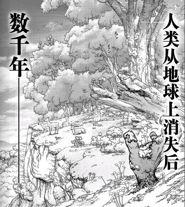 舌尖上的末世复兴漫画《石纪元》主角团开发狗尾草拉面和鳄鱼汉堡