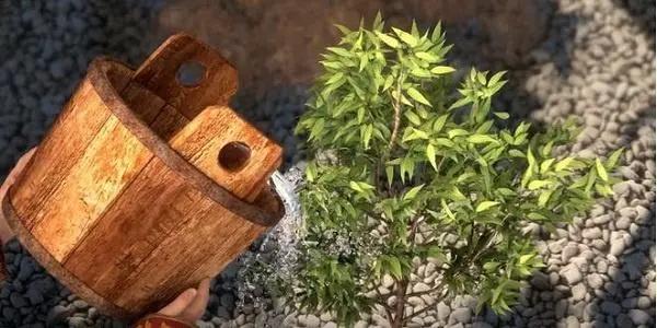 星辰变，雪鹰迟：动漫内容大格局对垒的前夜