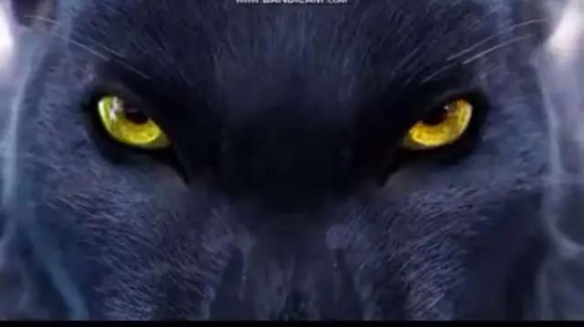 动画《雪鹰领主》将播，一柄长枪扬名万里，燃烧热血，你期待吗