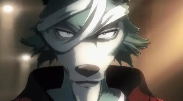 2021年1月新番导视（续作篇），工作细胞，动物狂想等来袭