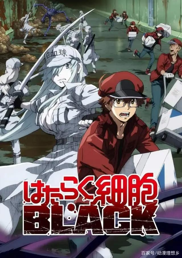 2021年1月新番播放时间及版权信息集合