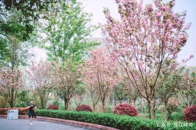 这份欢乐指南你值得拥有，欢乐谷等你来