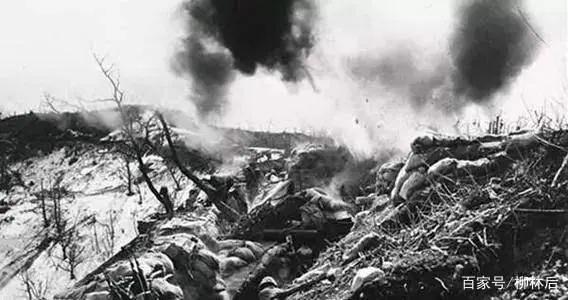 以前拍的是纪录片，现在拍的是动画片