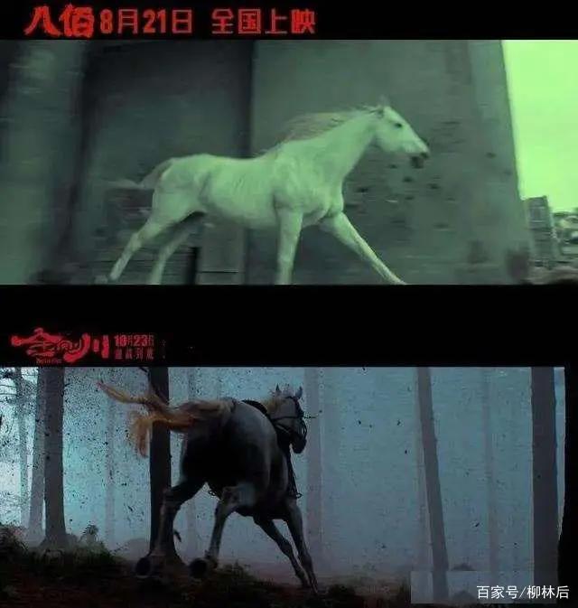 以前拍的是纪录片，现在拍的是动画片