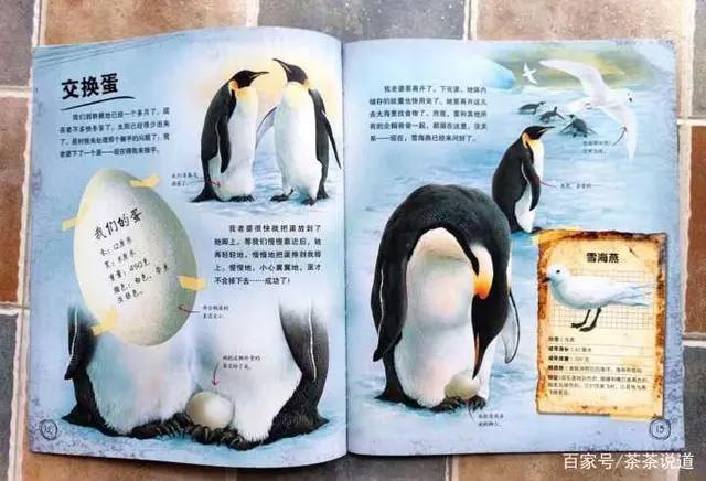 给3~12岁孩子的寒假书单，这样读才好玩，教你打开阅读的正确方式