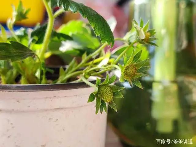 给3~12岁孩子的寒假书单，这样读才好玩，教你打开阅读的正确方式