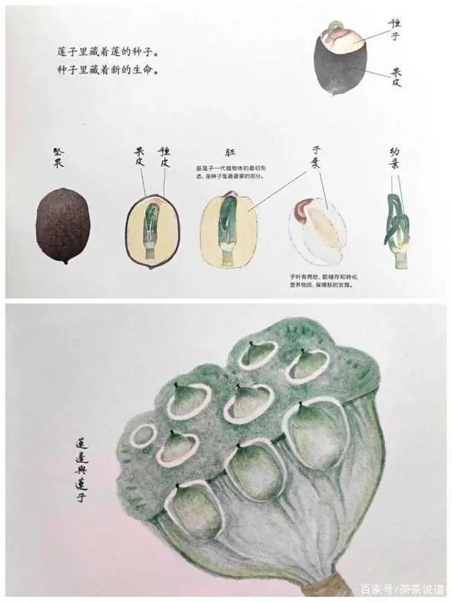 给3~12岁孩子的寒假书单，这样读才好玩，教你打开阅读的正确方式