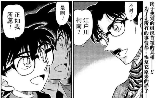 名侦探柯南：组织里都是卧底叛徒，为何没被消灭？红方内讧更严重