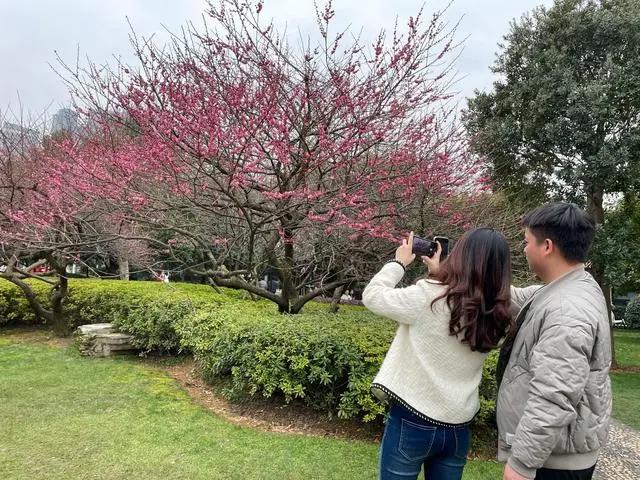 周末橘子洲：忙趁春风放纸鸢