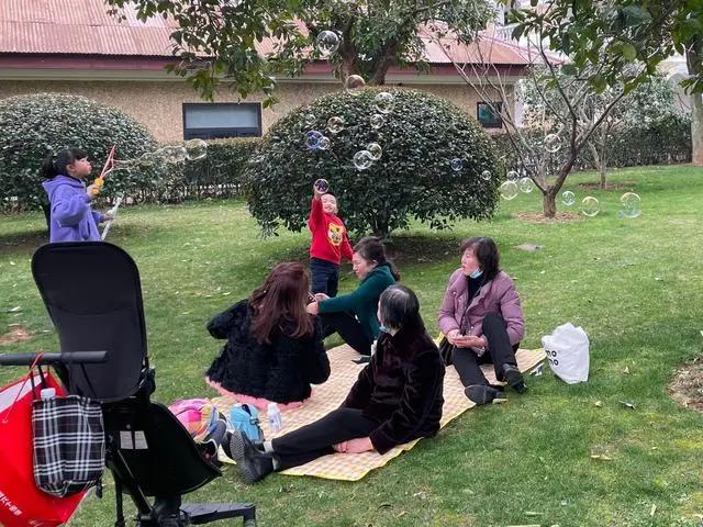 周末橘子洲：忙趁春风放纸鸢