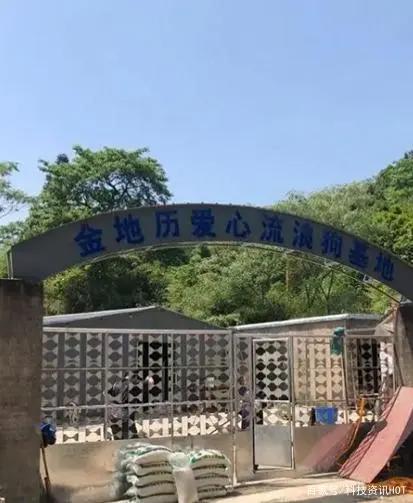 宁波金地历进出口创始人苏永安专访：创业是一场持久的马拉松