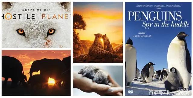 寒假英语电影资源100部！都适合孩子，先收藏再看！