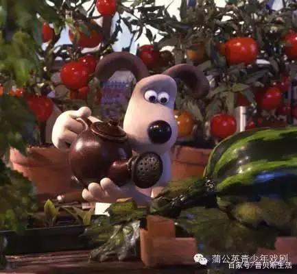 卡通片里的猫咪，现实中是这些品种...