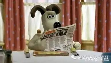 卡通片里的猫咪，现实中是这些品种...