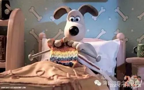 卡通片里的猫咪，现实中是这些品种...