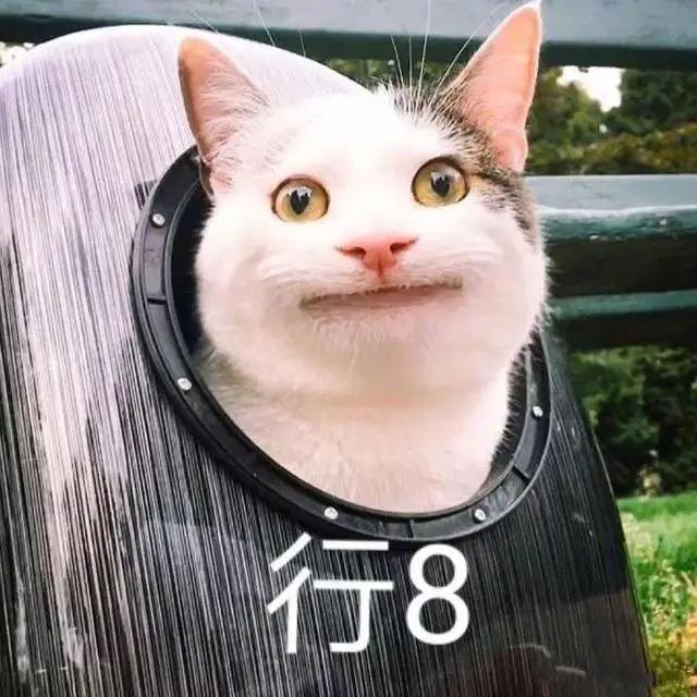 《冰雪奇缘》被小学生送上热搜！你的童年也有这些刷屏级国漫神作