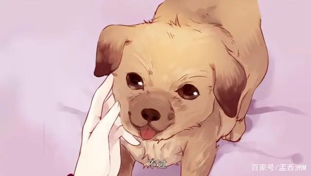 《哑舍》开播，鱼纹镜开头虐心结局舒适，香妃链的故事太刀了