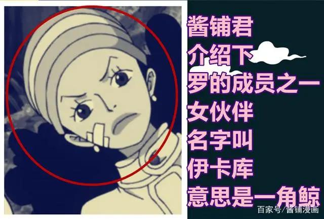 海贼王1015话，强巴鲁与伊卡库救下海中的路飞，罗的援军登场