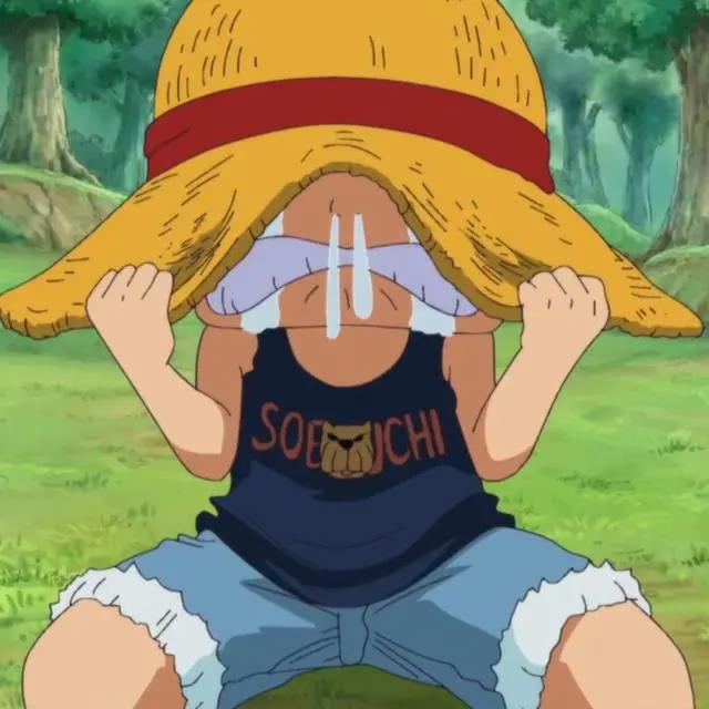 深度剖析动漫巨作《海贼王》，你只看到热血？其实背后很现实