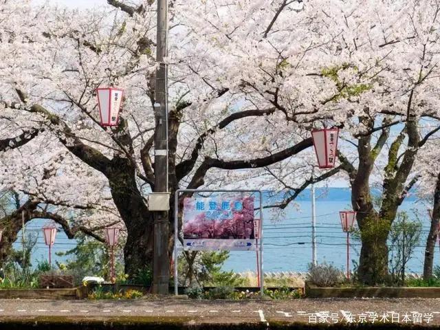 圣地巡礼！日本动漫中绝美车站大盘点~