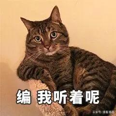 我在异界当乞丐：别逗了，乞丐穿越到异世界能干啥？换地方要饭？