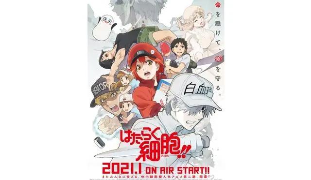 日本2021年新番动漫推荐：异世界物语、青春体育番、转生系列