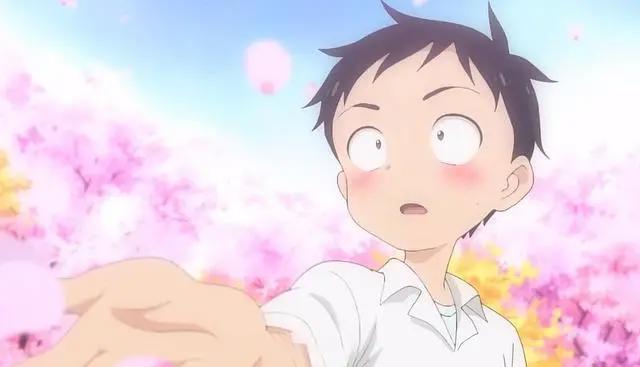 2022年初，新番推荐，期不期待开不开心