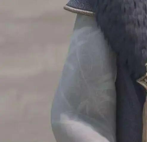 万界仙踪：如果只是看手，你能在3秒内猜出是哪五位角色吗？