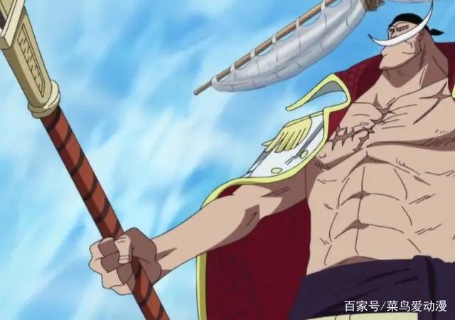 海贼王：“最高级别见闻色”霸气的唯一拥有者，可惜自身实力太弱