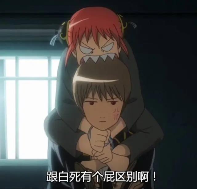 动漫中相爱相杀的组合，你最看好哪一对？最后一对是我们儿时回忆