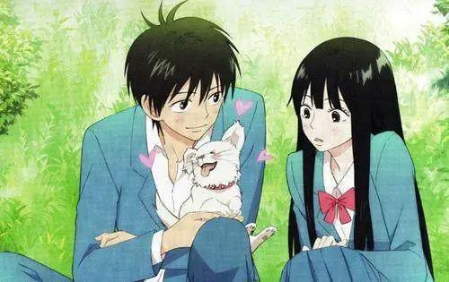 少女心爆棚的动漫，甜化你的心