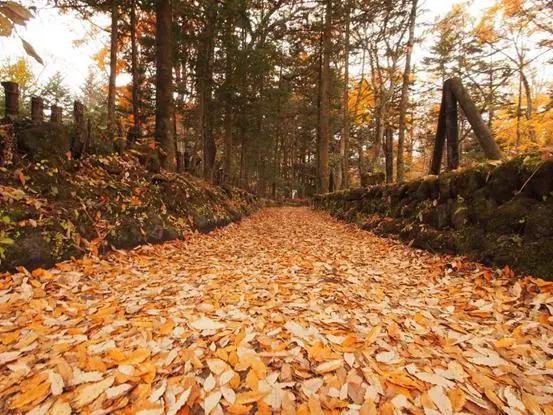 旅行到东京：身处三维空间，活在二次元世界