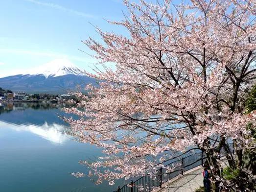 旅行到东京：身处三维空间，活在二次元世界