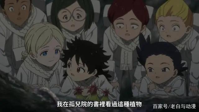 《约定的梦幻岛》第二季开播，孩子们被鬼追，雷的表现很勇敢！