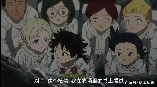 有生之年！《约定的梦幻岛》第二季更新！“食用儿童”该何去何从