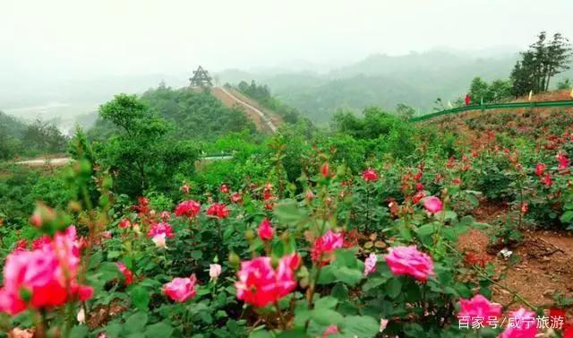 人均不到500元的旅行，说走就走的咸宁！