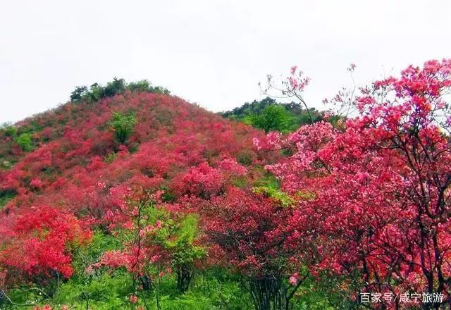 人均不到500元的旅行，说走就走的咸宁！