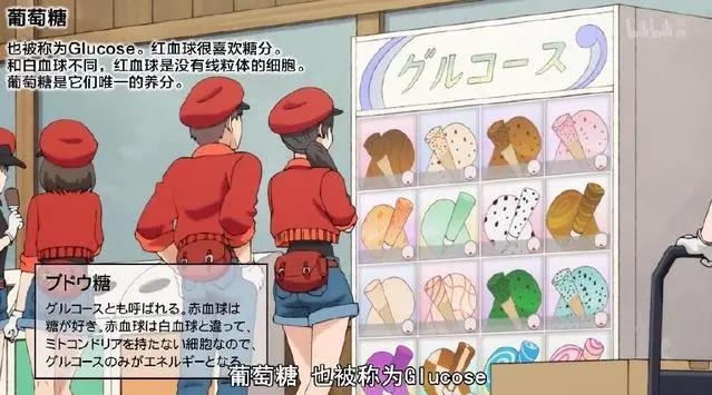 工作细胞第8集：红白细胞疯狂撒狗粮？今天我们能学到什么呢？