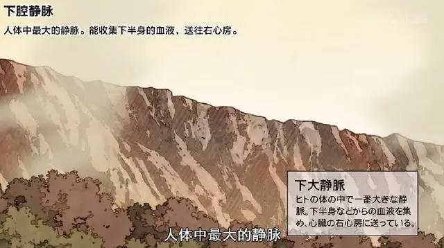 工作细胞第8集：红白细胞疯狂撒狗粮？今天我们能学到什么呢？