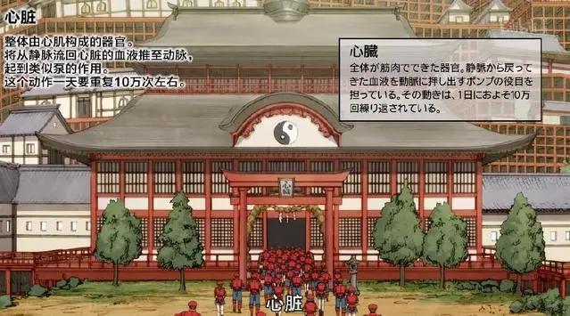 工作细胞第8集：红白细胞疯狂撒狗粮？今天我们能学到什么呢？