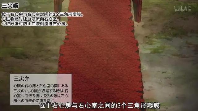 工作细胞第8集：红白细胞疯狂撒狗粮？今天我们能学到什么呢？