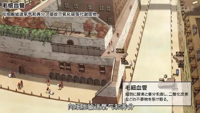 工作细胞第8集：红白细胞疯狂撒狗粮？今天我们能学到什么呢？