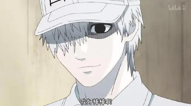 工作细胞第8集：红白细胞疯狂撒狗粮？今天我们能学到什么呢？