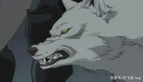 “雷劈型动画制作公司”中的典范，非他莫属！