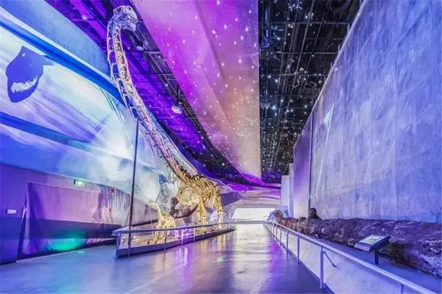 文旅预告｜声入人心少年团抵汉开唱，自然博物馆夜游开放（上）