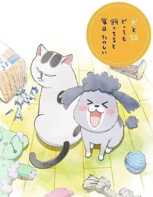 5部温馨治愈的动漫，你看过几部？