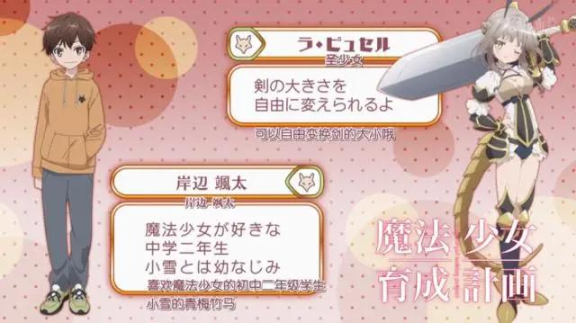 盘点：动漫中拥有变身成为魔法少女的“男孩”？