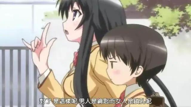 番推：除了《狐妖小红娘》，还有哪些以狐妖为女主的好看动画？